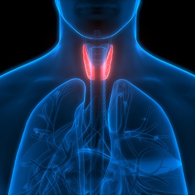 Tout savoir sur la chirurgie thyroïdienne en Belgique
