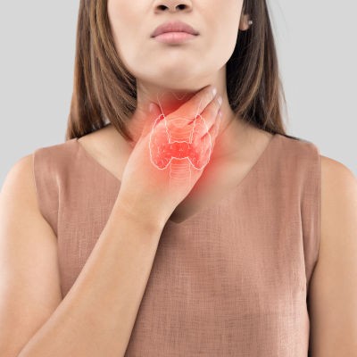 Le rôle de la thyroïde dans l’organisme